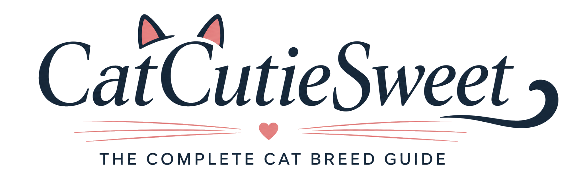 CatCutieSweet